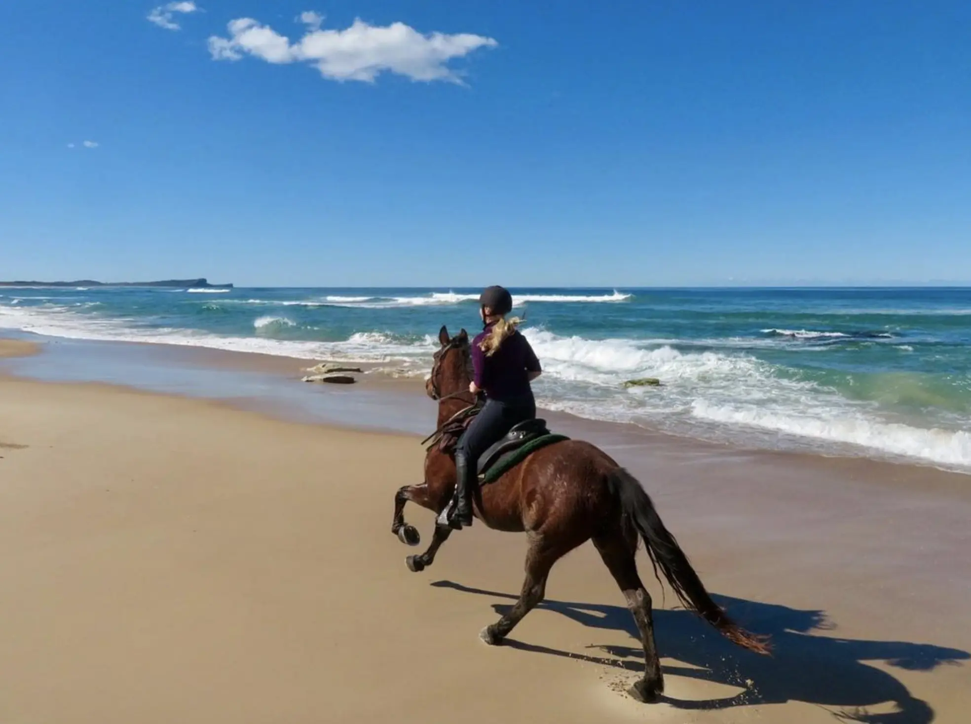 Apollo Bay Horseriding