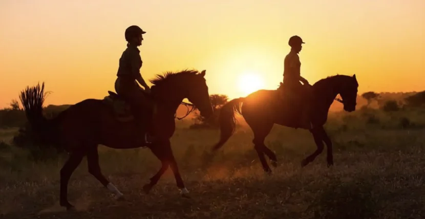 Horse Riding Adventures Along the Beaches of the Great Ocean Road