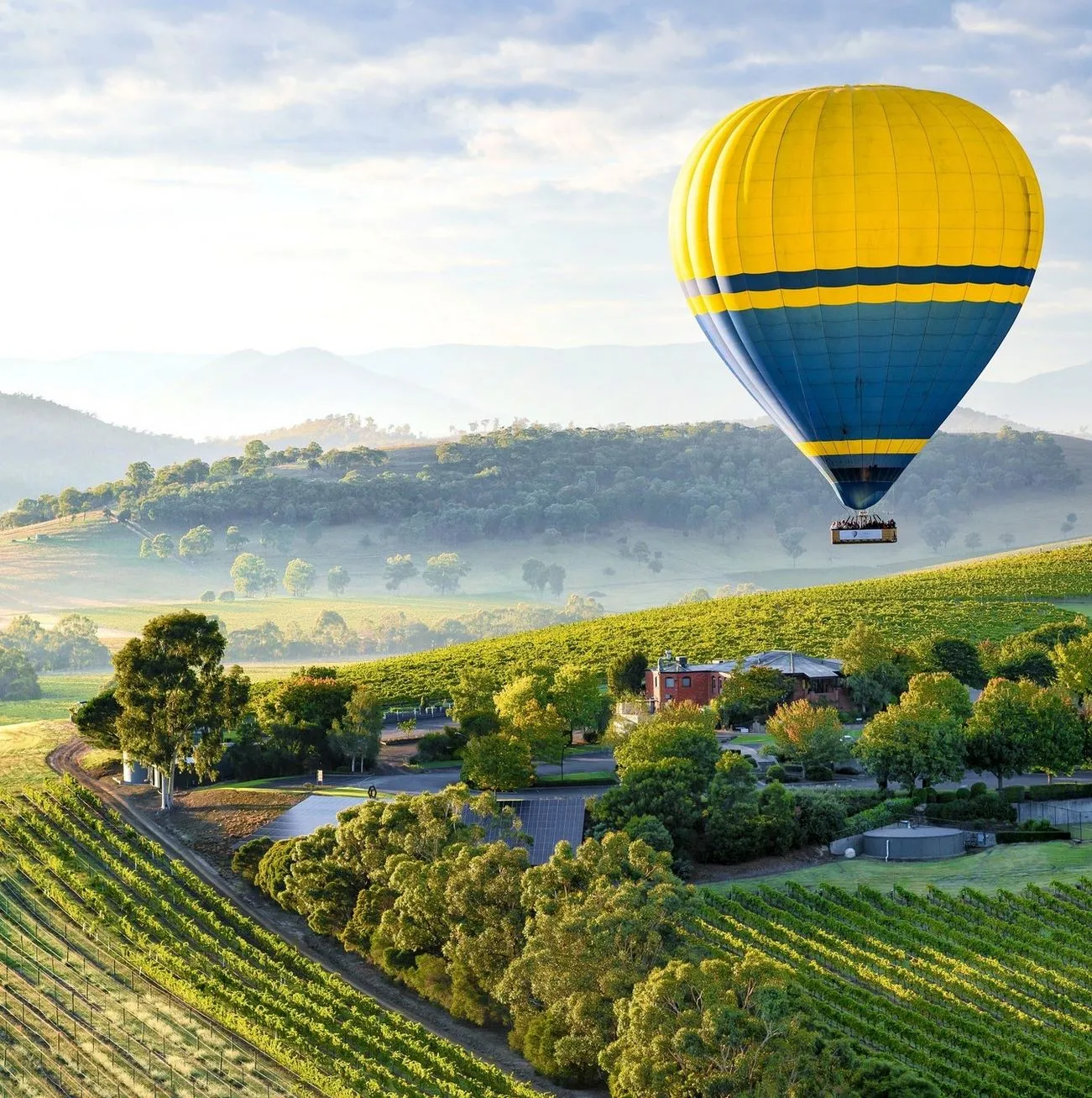 hot air balloon, Balgownie Estate