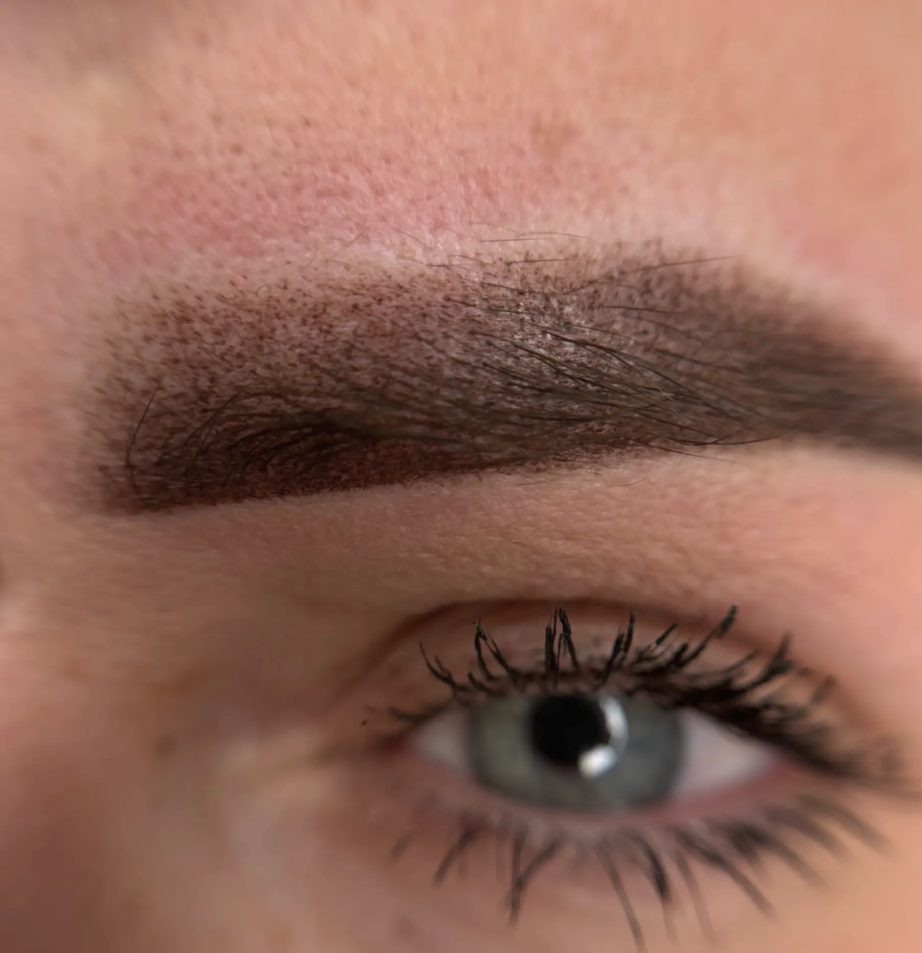 cosmetic brow tattoo training